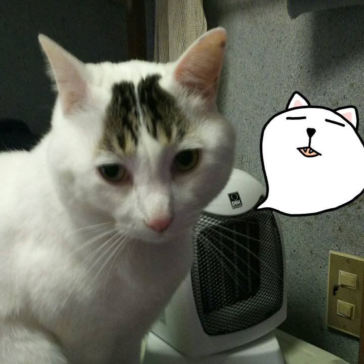 E7621ac9 3fcd 409a aed4 6cdb3246d90b