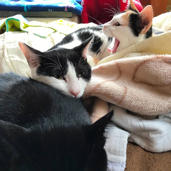 E7629034 5e45 435b 8495 e4f0037d1ad2