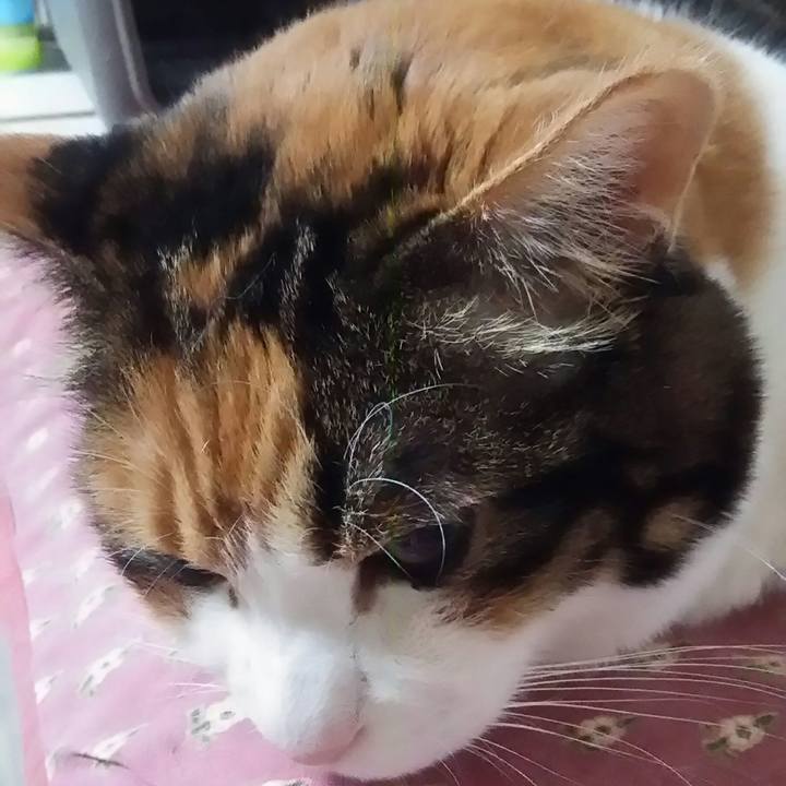 E7643b2c ae81 479a 9897 7065e50924f3