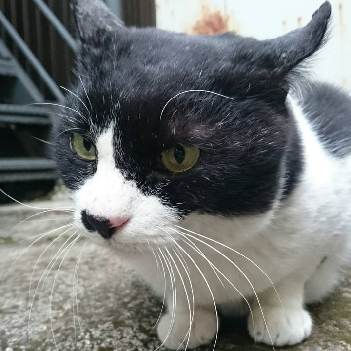 E76464f4 3efb 4f40 8ffa 41559c671eab