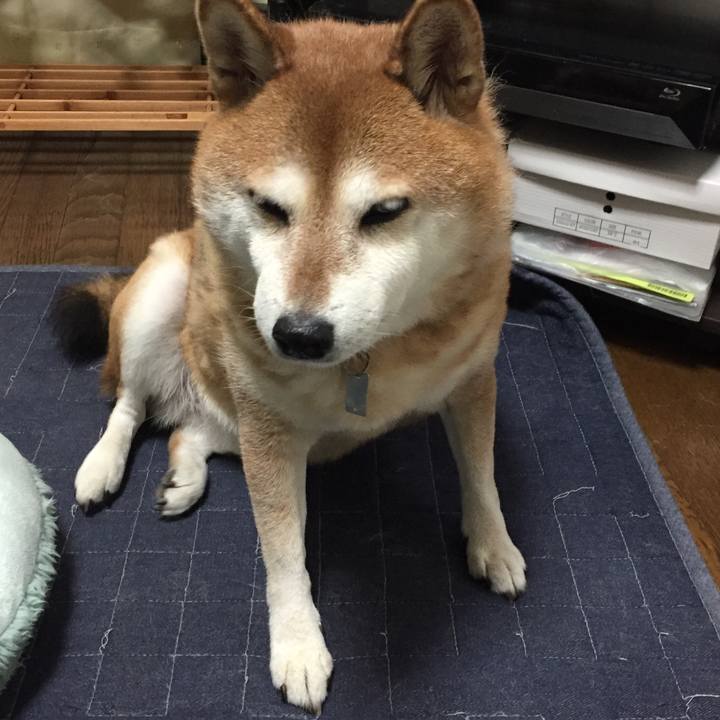 E764a951 5898 4be9 828f 03c0b570c19f