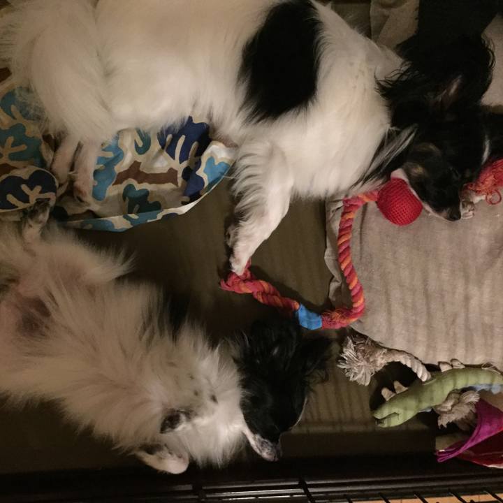 E76630c3 904e 482d 89a3 50eb3f3d452b