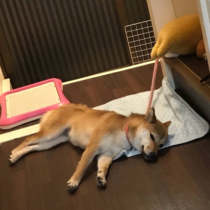 E7664c04 aa5c 497e b007 a4cbe99d5dd6