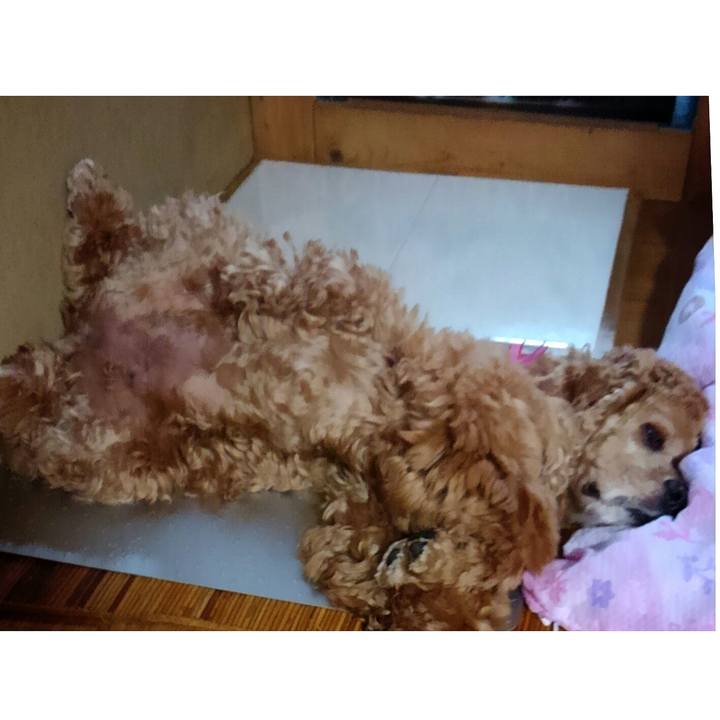 E7667080 12c8 4f5b a9b2 f2328c8090d8