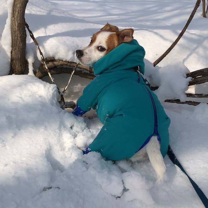 E766874f a9b1 40e3 99c0 45a9463464c0