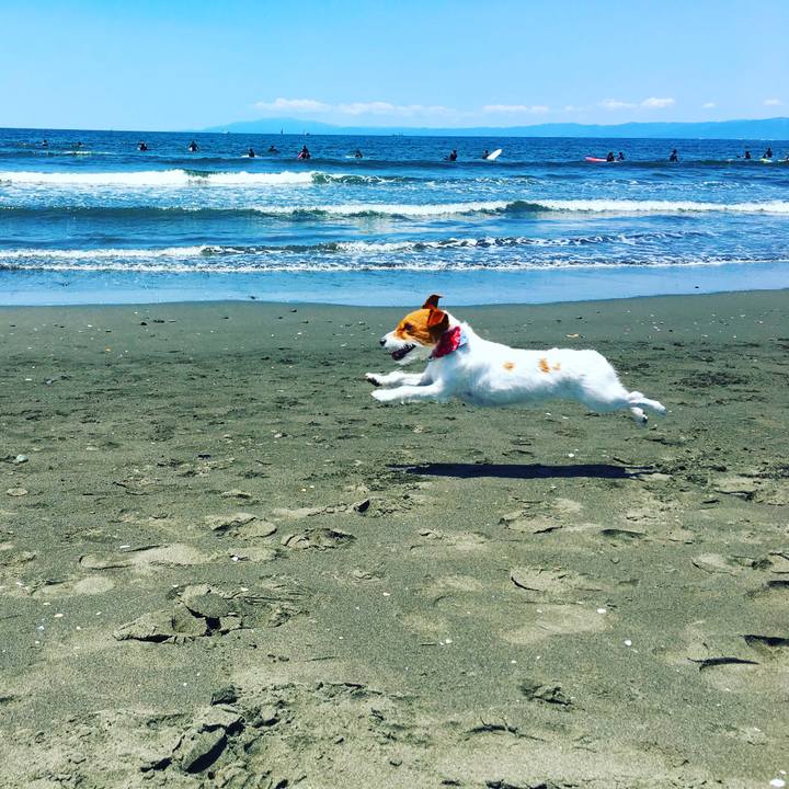 E766ae86 735b 4e87 977a 03093010794b