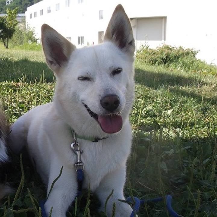 E766ee2d c73c 4dc0 be60 e0267bb06fae