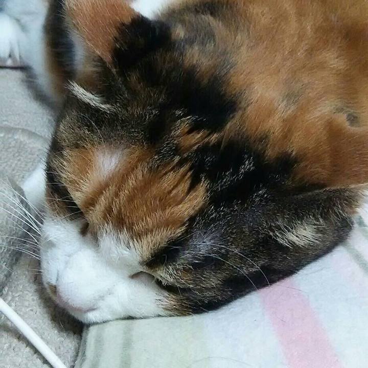 E767214b f5d5 440b b769 c1185bd5d7a3