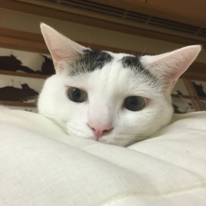 E767593b 3be5 48f2 b74f a9449374cf71