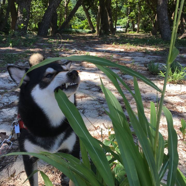 E7683c00 5074 4bfc 83a9 dad4117a8cfe