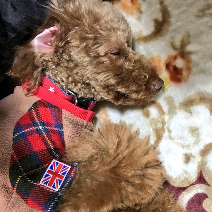 E76920c1 1725 4cf9 bae3 469a0fa8d821