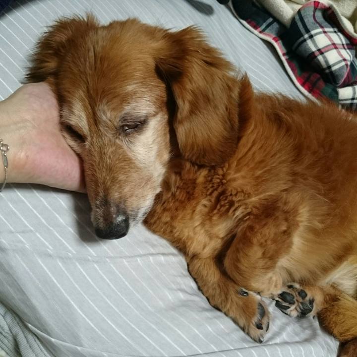 E769c76d 6a69 4c8a b410 4bb5b16007dc