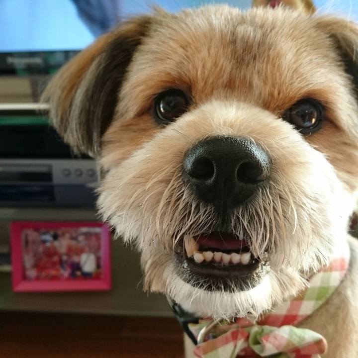 E769e31c 7f2e 4403 960f 5485950f6ae8