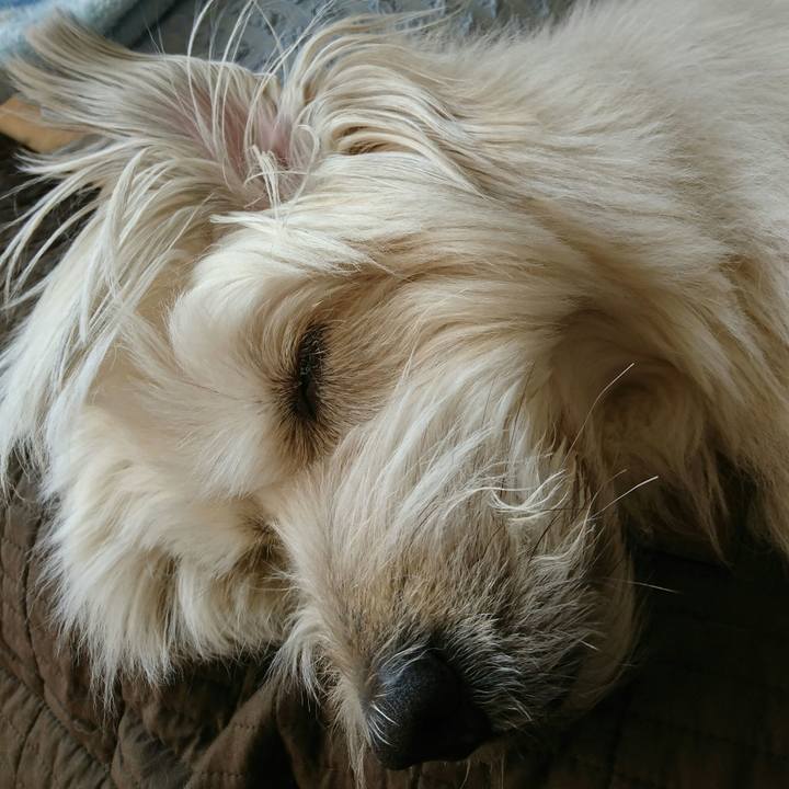 E76a4545 f00c 40a0 98db 290b54009741