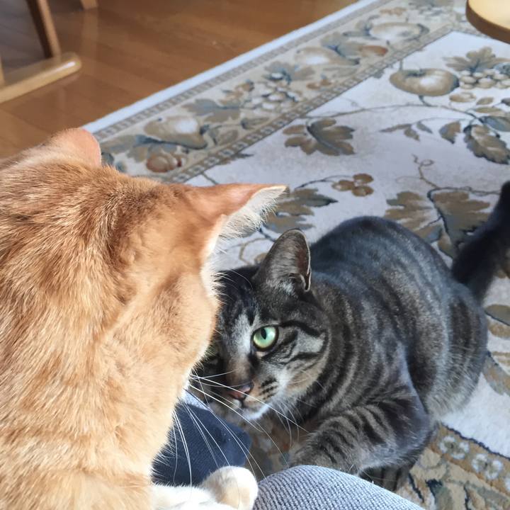 E76a6a73 d341 4c08 9f3f 14e3ce5a93d2