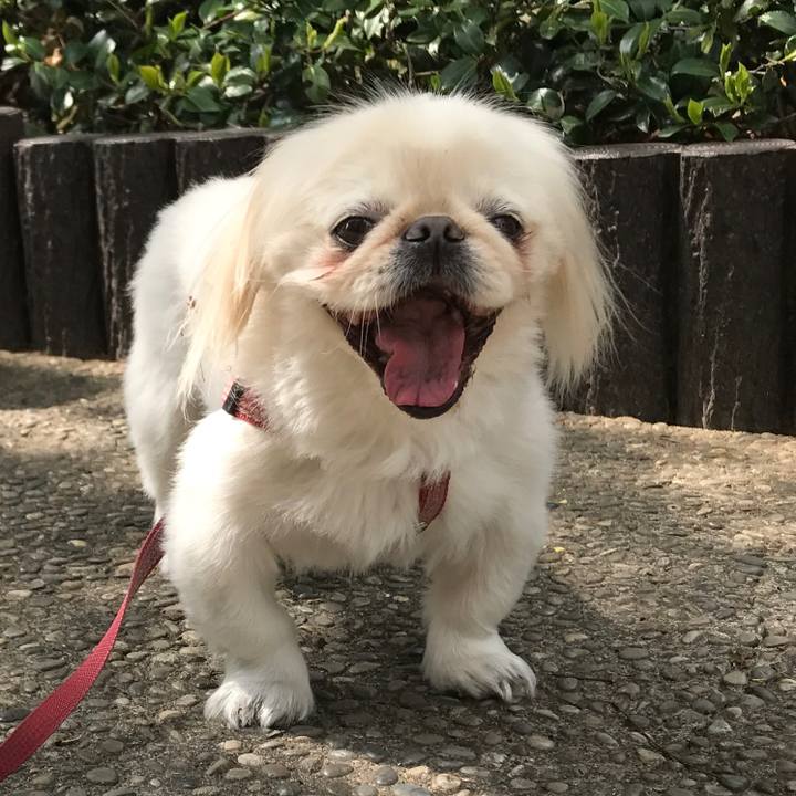 E76aad18 b6b1 4e70 839c b23342193356