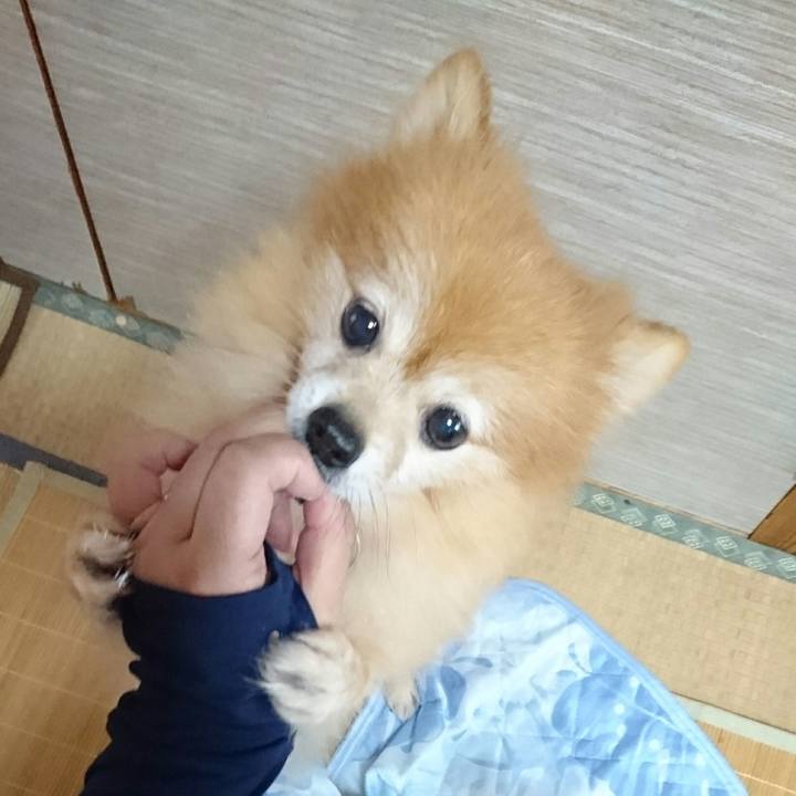 E76c473c 9e73 49b9 8ba6 1df9f6262c1f