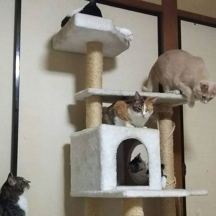 E76c4a8c cde5 4e60 ad50 cb4f8a62ca68