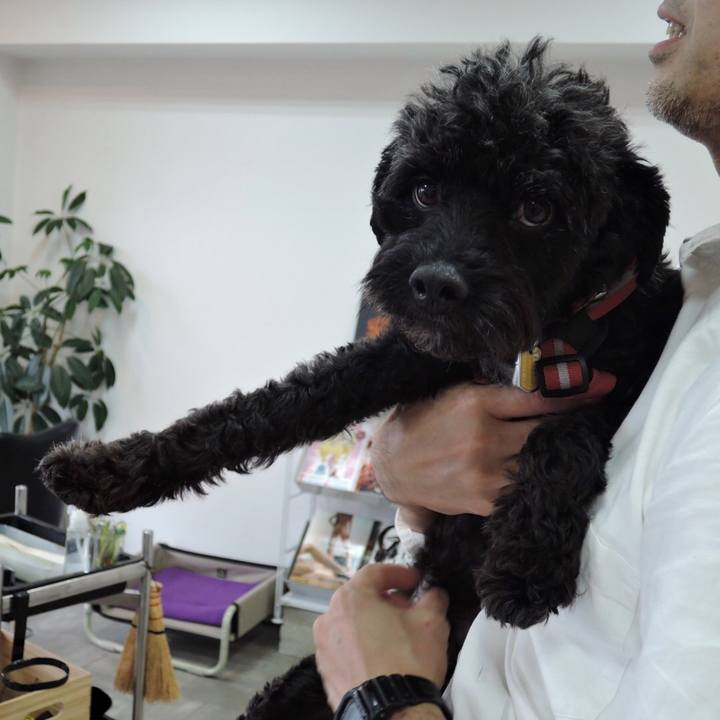 E76d2461 6d1a 48ad 8008 ab2a2ea89e88