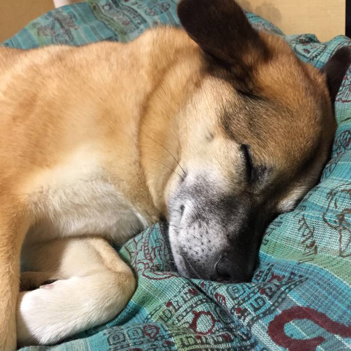 E76d4396 f2d0 4131 9dd0 055d5cac0fef