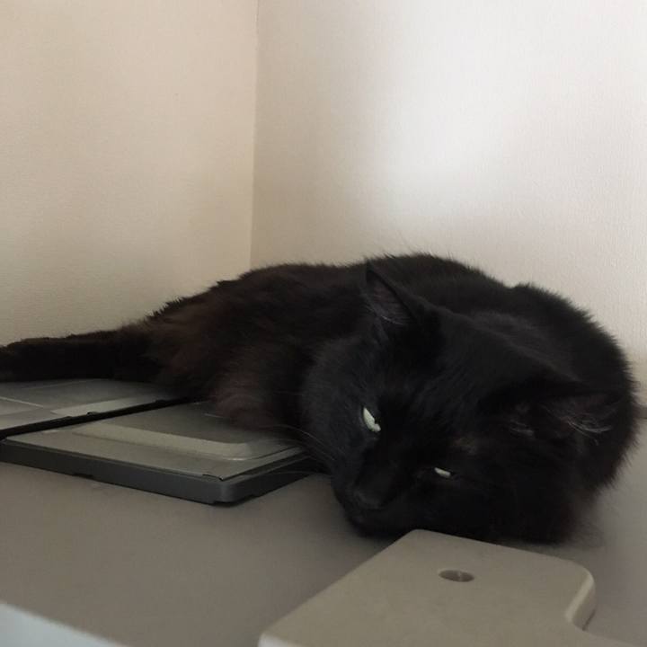 E76d8bc2 b30e 4d30 ab3a 535dff2ad9ab