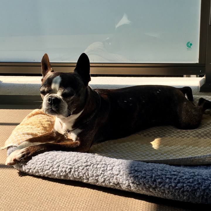 E76d97f5 c3a4 425a a172 fff9e2c1d9dd