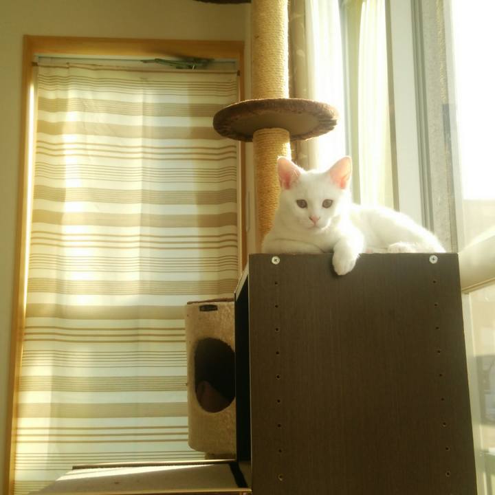 E76e15a4 f638 48a9 a218 a5a6656e060a