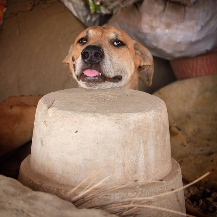 E76e2b5a bd82 4bf7 a724 4659763febfb