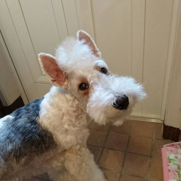 E76f0daf 73f9 4048 9b5c 63b543653c0f