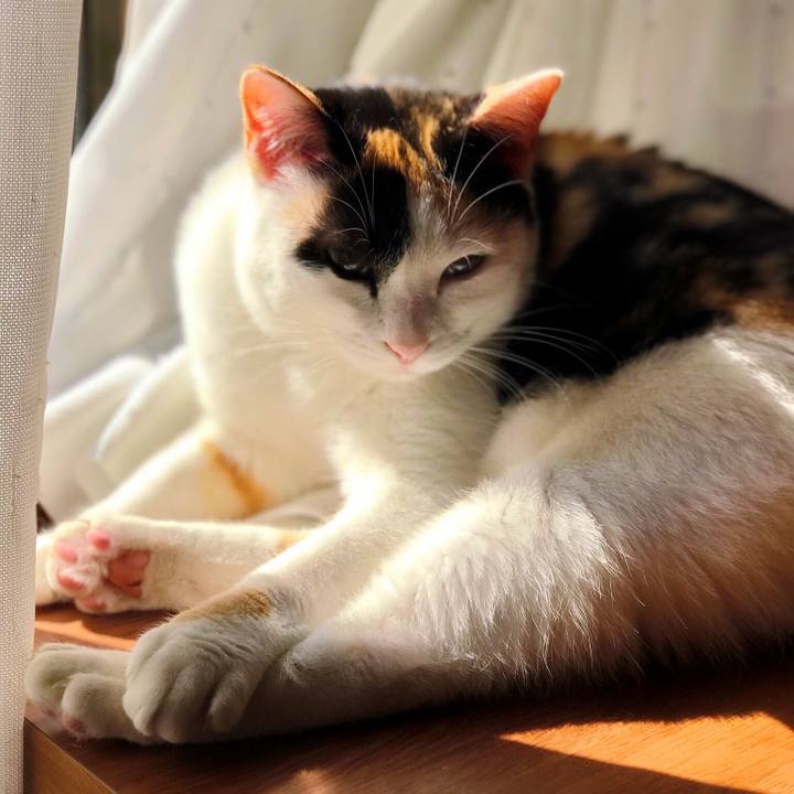 E76f2954 17fa 400b 9826 f45c7791a2df