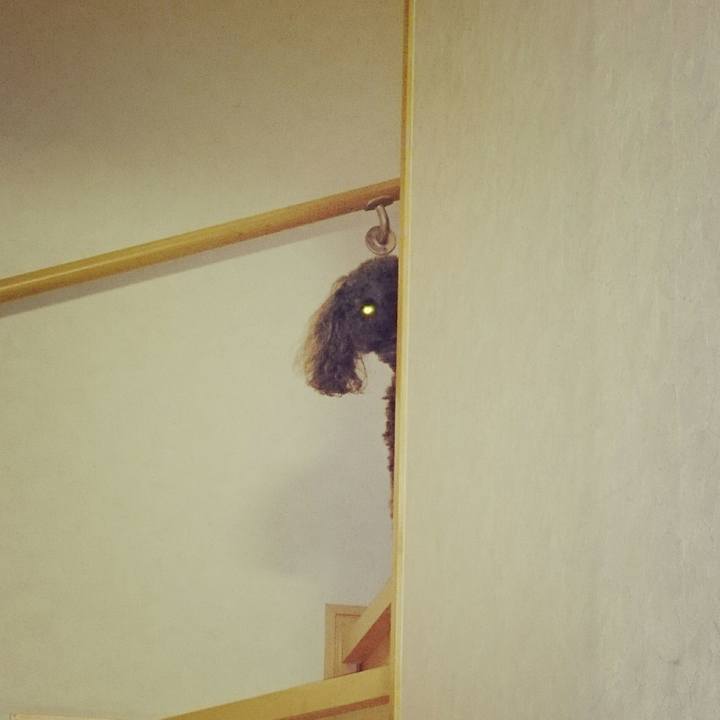 E76f6b00 07fb 418c 9a63 a17a551137ad