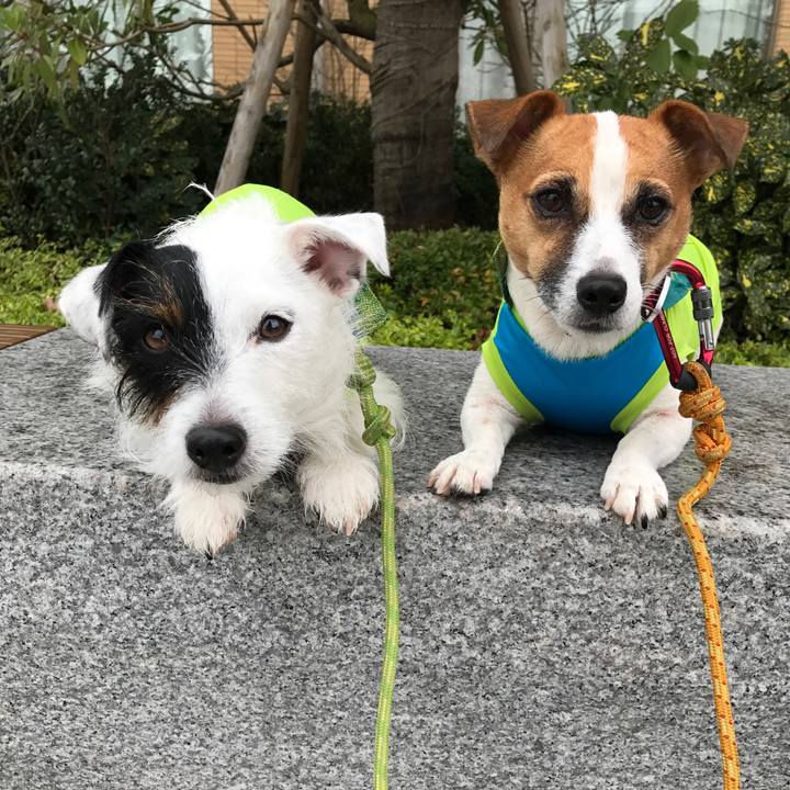 E76fcbce 8047 464c a1a5 1f19f55ada7f