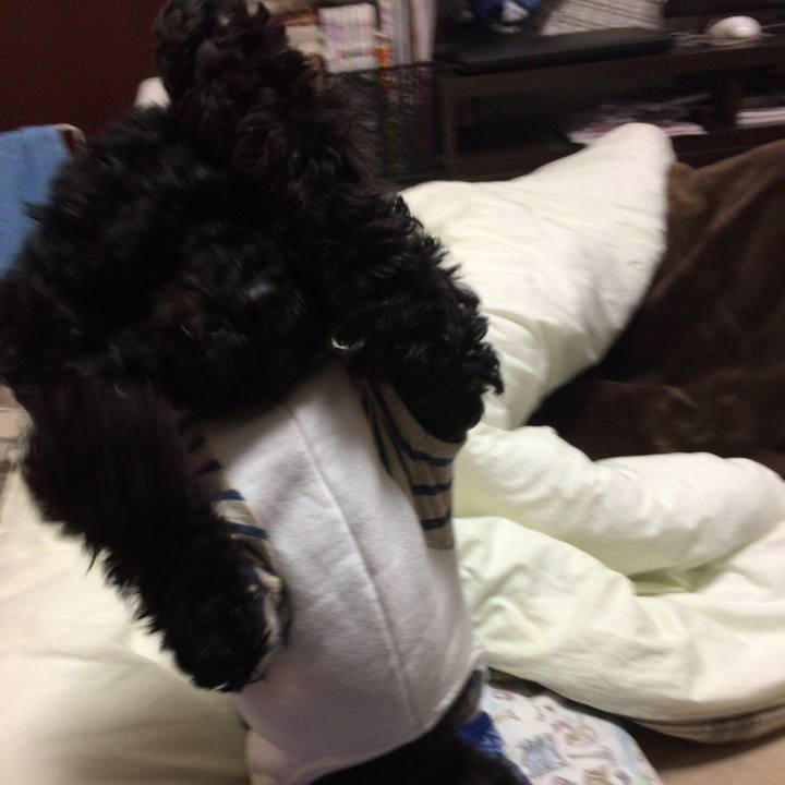 E770ee72 d3be 4d38 a80f 158624799149