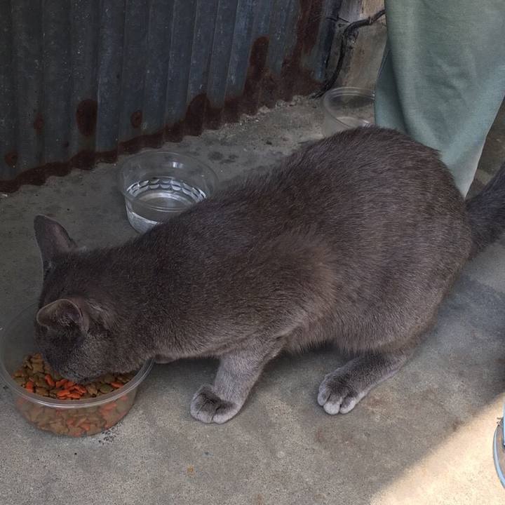 E7710033 33d8 4352 adaa 7d113db4731b