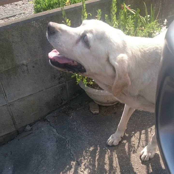 E771ce7c cd80 4f3b afdd 1edd755eefbd