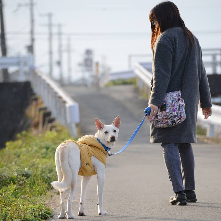 E771d3b8 fe6d 4865 b89f 5382de6f4276