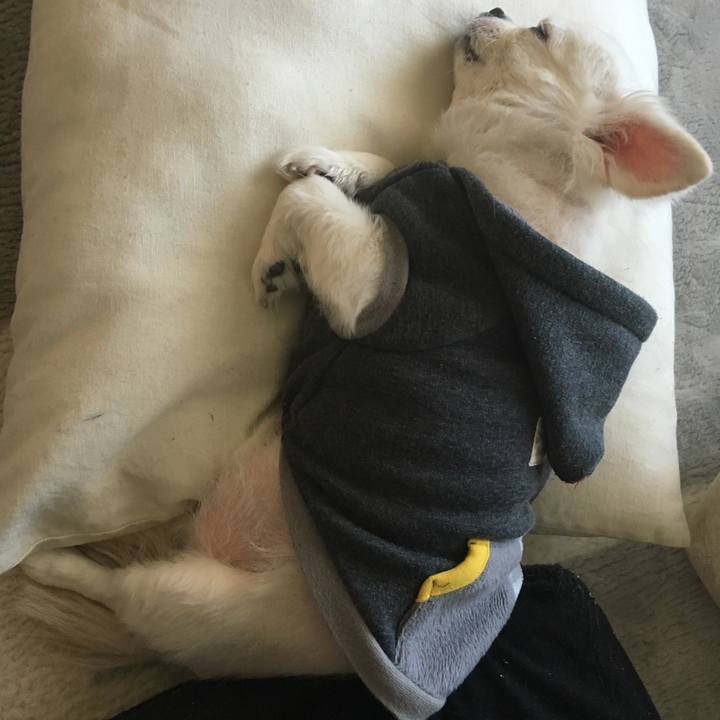 E771edbf 2f4f 4d97 af4b 087960ffdee7