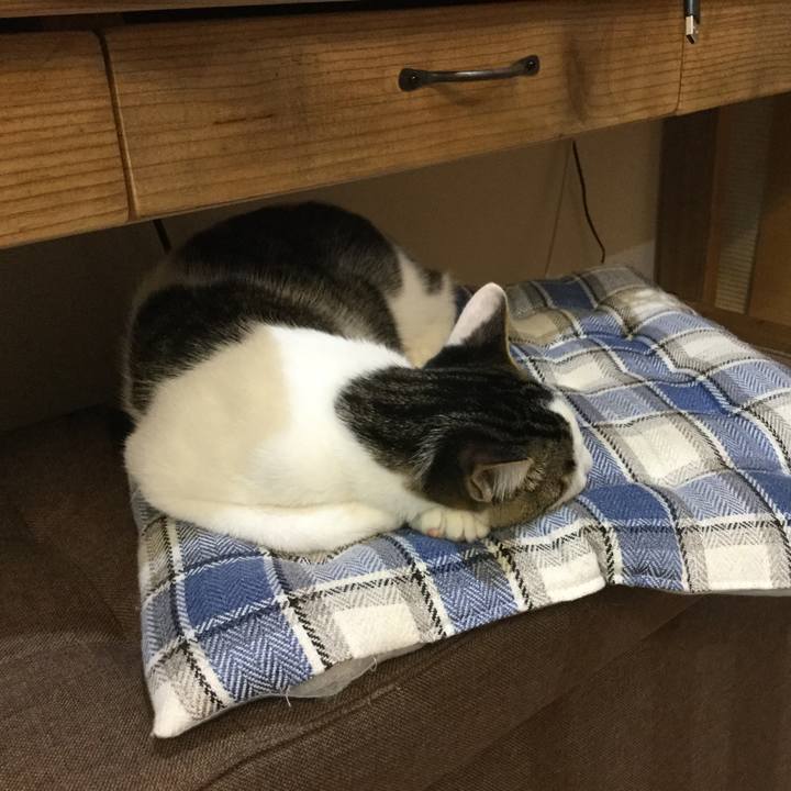 E77274de 32dc 4cf4 89c5 125a57cb04f2