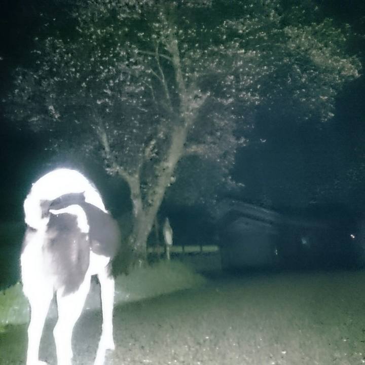 E77275af af20 4197 9cbe 37e2b03df8ea