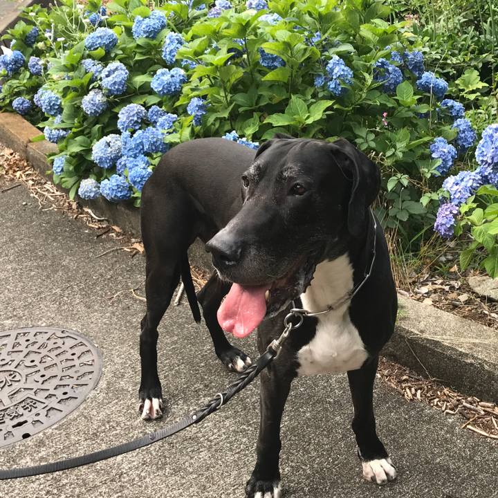 E773027c 1738 460a 9bc9 d15a0eb8d119