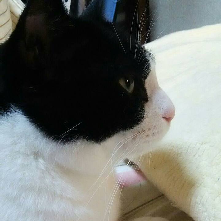 E7732fb1 ae97 4147 842c 5af7729d53ea