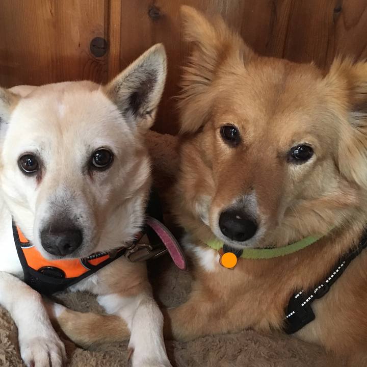 E77348db d38b 4031 81c3 8ea075d83eb7