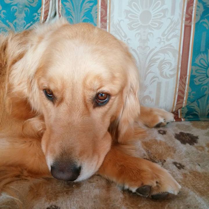 E7735593 6948 448a b59e 71c2e16973ce