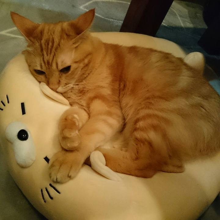 E773ed6b 58c9 4594 8adf 3675a4450ea8