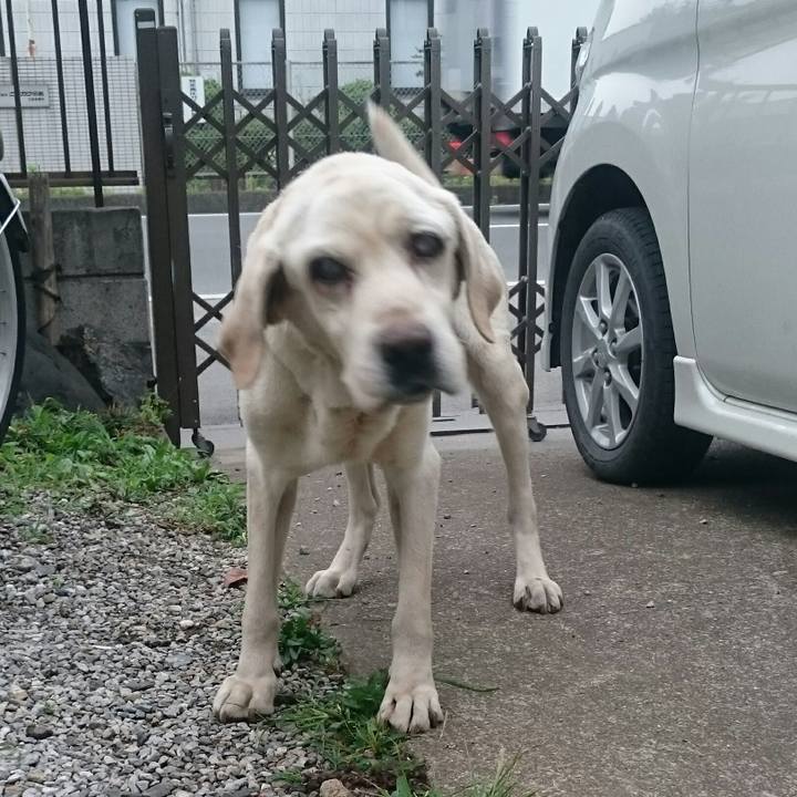 E7746374 b985 4598 bcba bc823cd93cbb