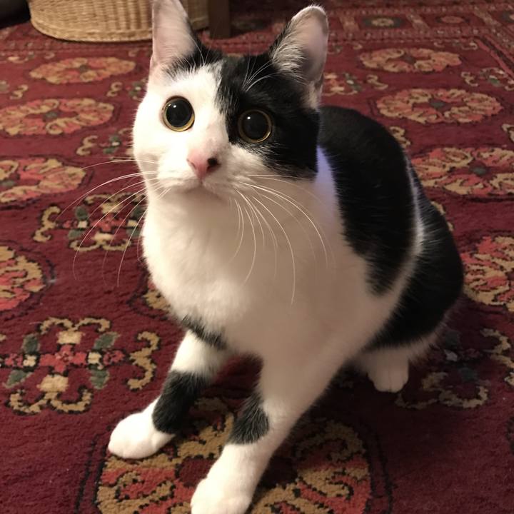 E7747066 5e25 4fa5 ad16 786424d83f7b