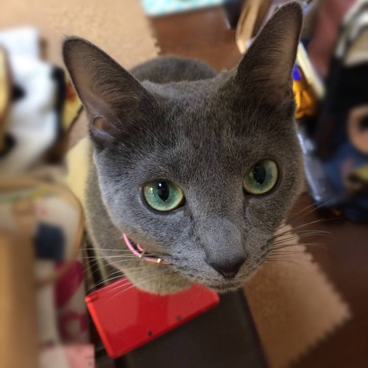 E77584b2 ffd6 4d96 ae4c 81f313a8a970