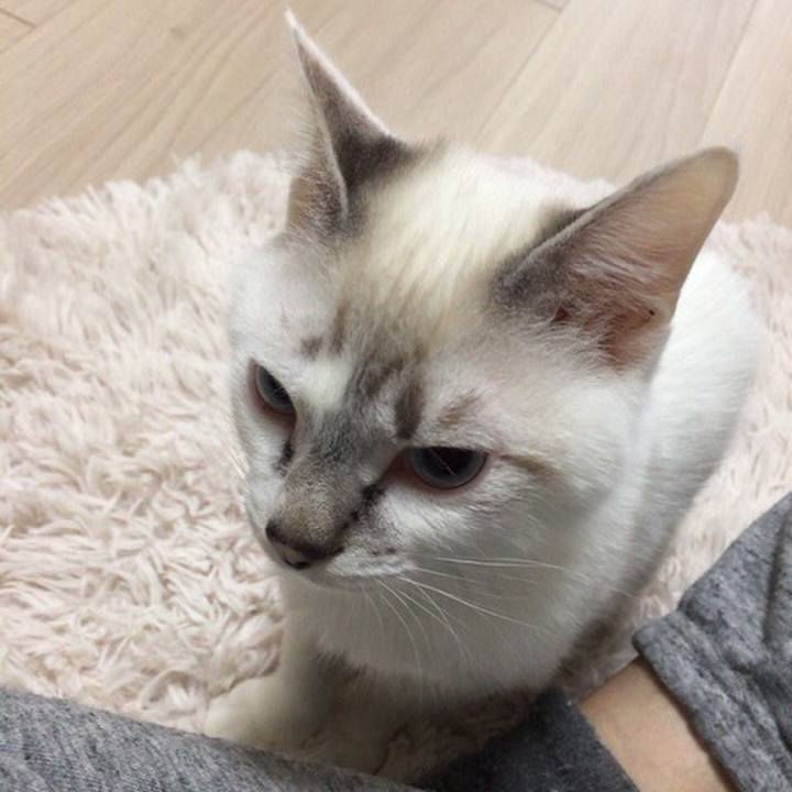 E775a13a 911d 436b b9bd 39114f6db814