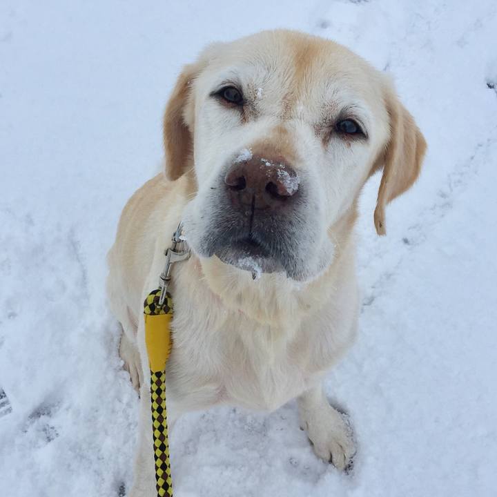 E7767571 bbea 4b7d b1c8 397811eef4d1