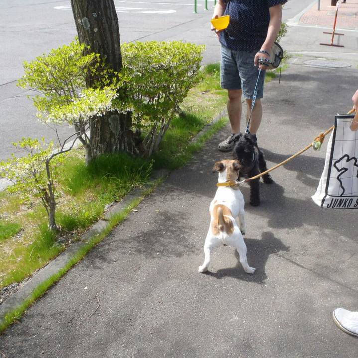 E776ce35 26f6 4ff2 a142 2b6da54ac5c6